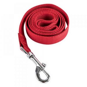 CORREA DOGGY personalizada